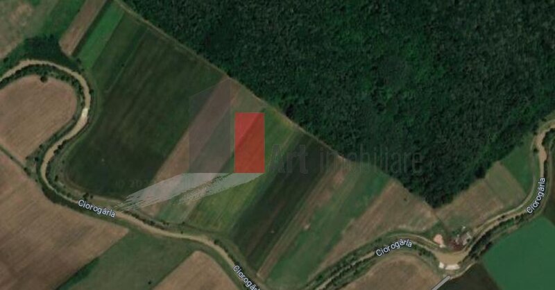 Joita Teren Intravilan Padure Joita